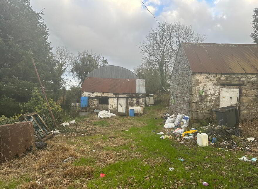Shanmullagh, Ballinamuck, N39C9Y7
