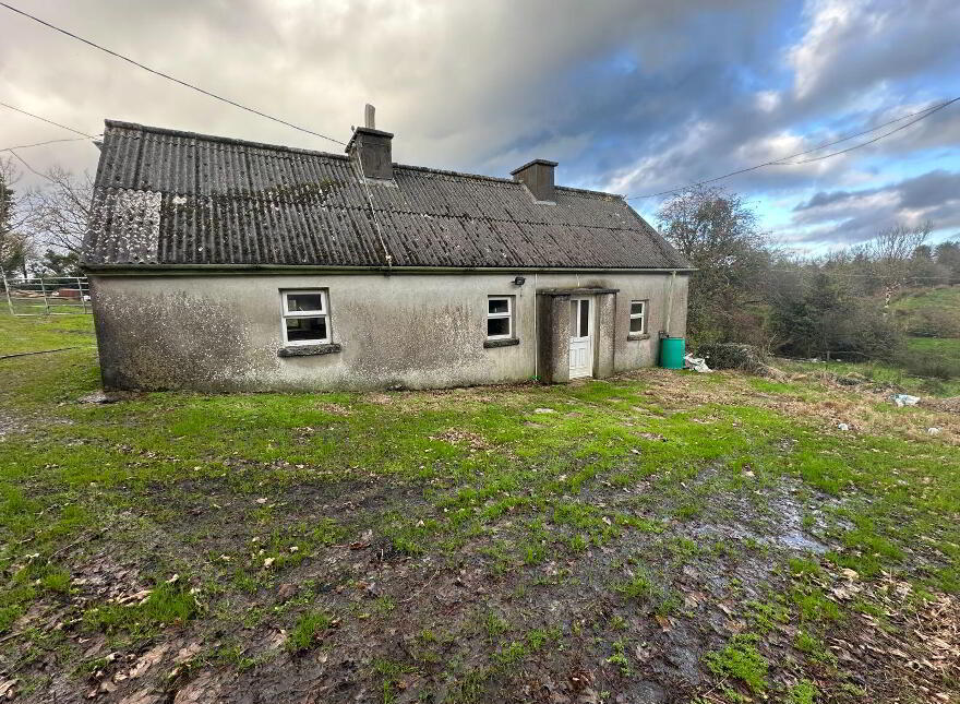 Shanmullagh, Ballinamuck, N39C9Y7