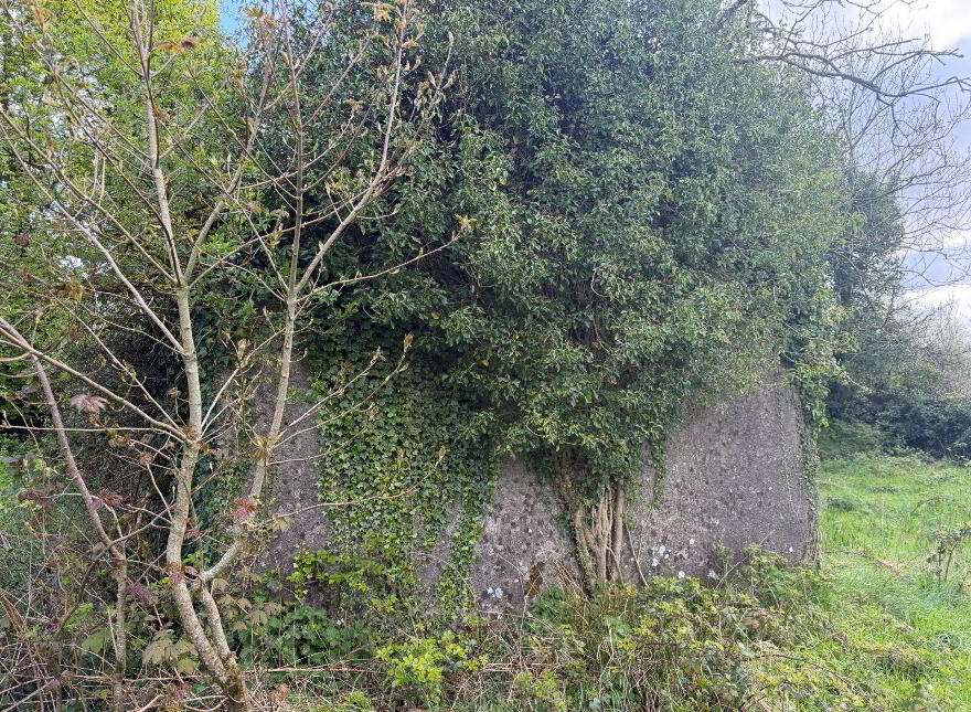 Aughnagarron, Granard, Granard
