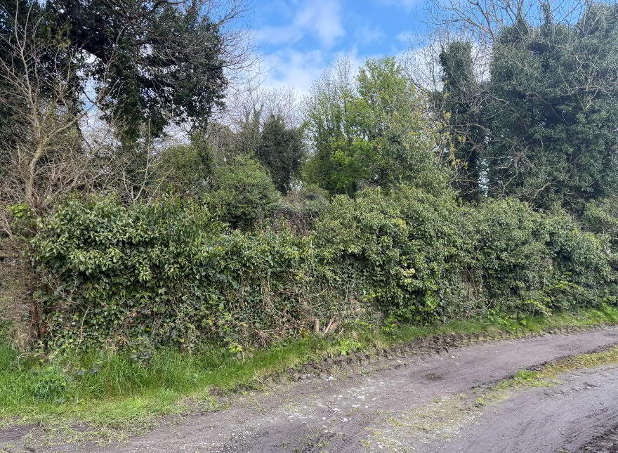 Aughnagarron, Granard, Granard