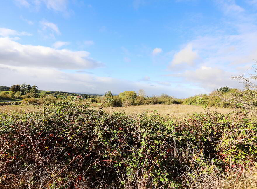 C. 12.5 Acres & Derelict Cottage, Curryanne, Swinford