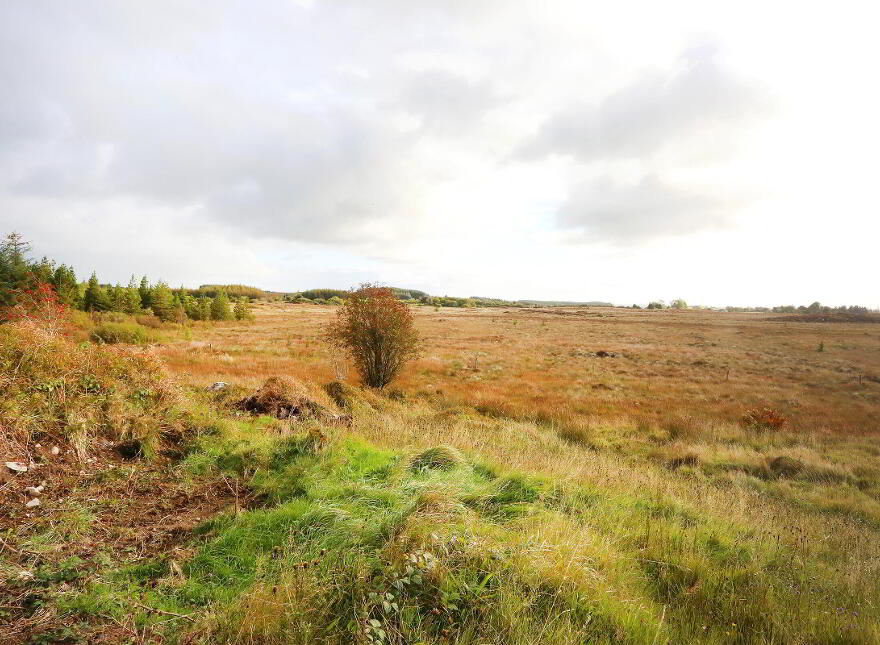 C. 12.5 Acres & Derelict Cottage, Curryanne, Swinford