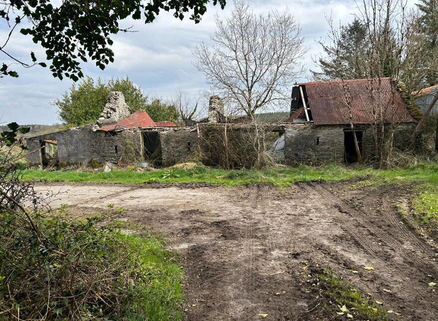 Derelict House, C. 1 Acre, Rathmore, P51ED86