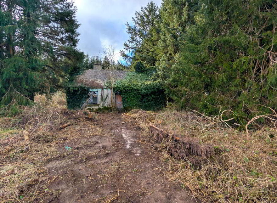 Derelict Cottage At Carracastle, Carracastle