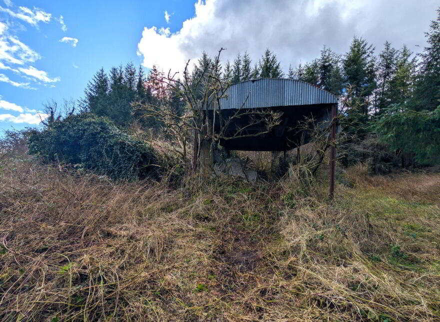 Derelict Cottage At Carracastle, Carracastle