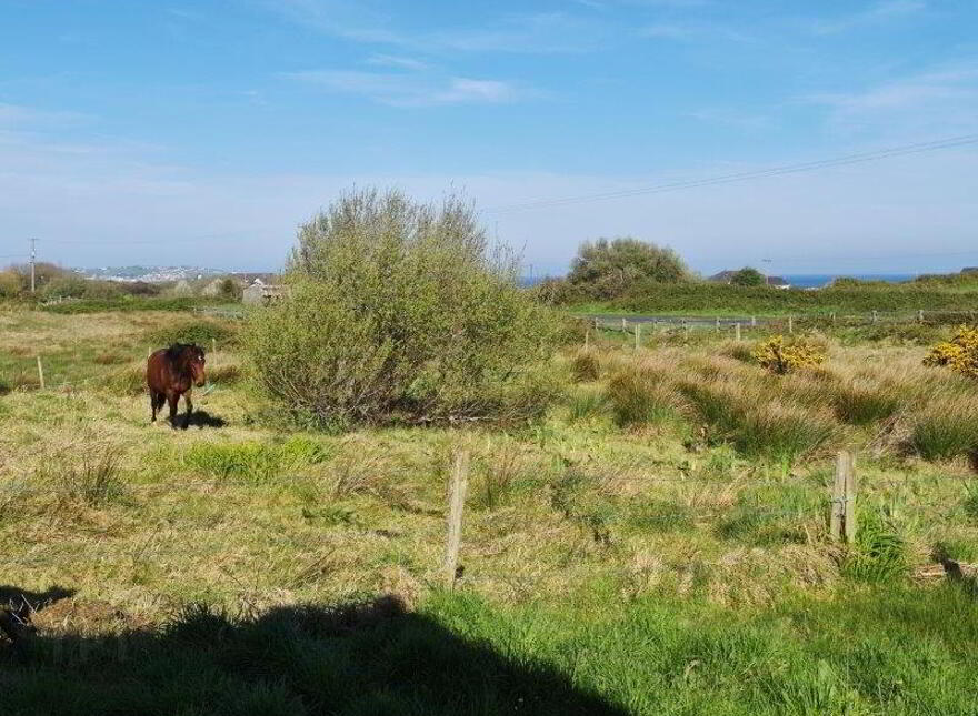 Daisy Cottage, Corbeg, Tullaghan, F91X753