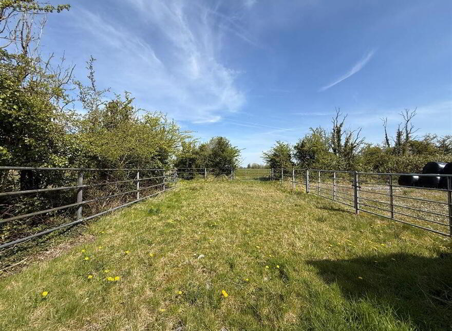 Corramaeeagh, Kilkerran, Newbridge, H53TY88