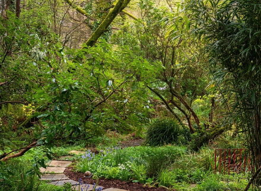 Fern Hollow, Cullentra, The Rower, R95P5W9