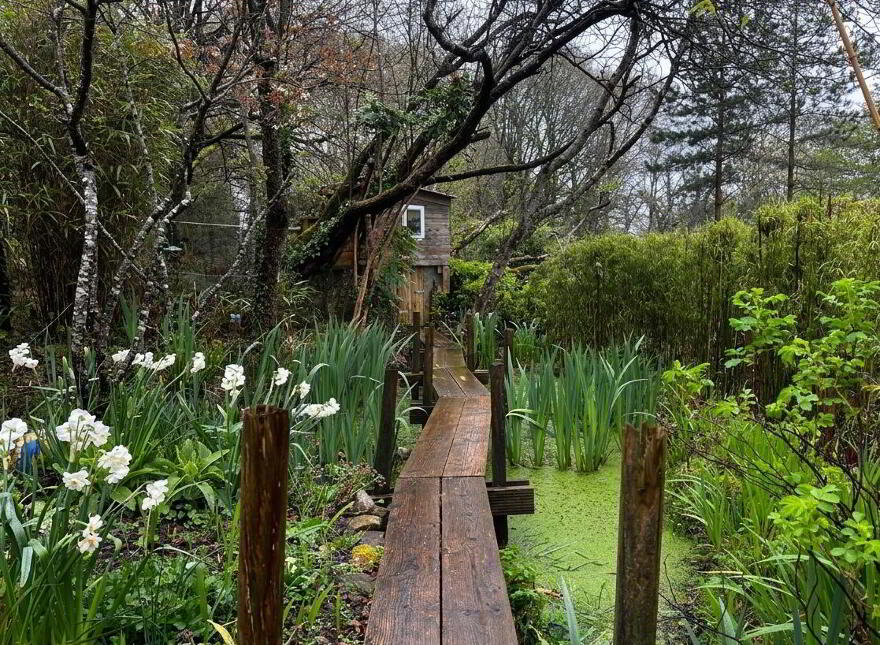 Fern Hollow, Cullentra, The Rower, R95P5W9