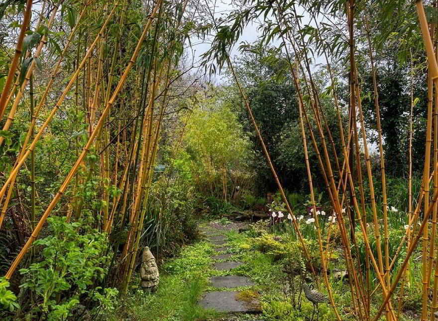 Fern Hollow, Cullentra, The Rower, R95P5W9