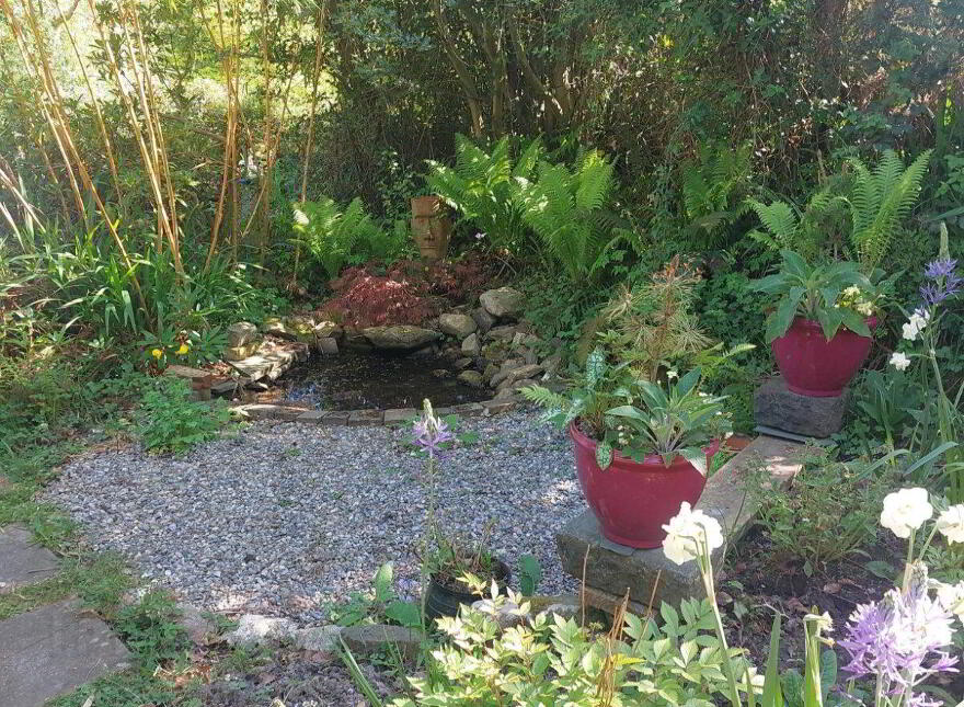 Fern Hollow, Cullentra, The Rower, R95P5W9