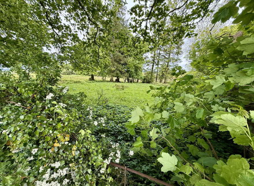 Ballintava, Dunmore