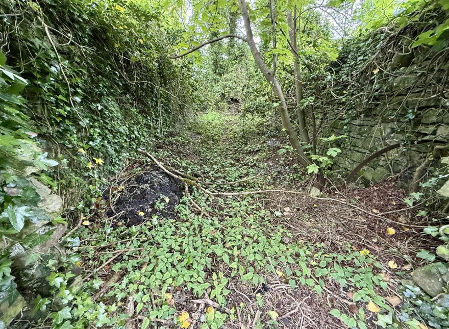 Ballintava, Dunmore