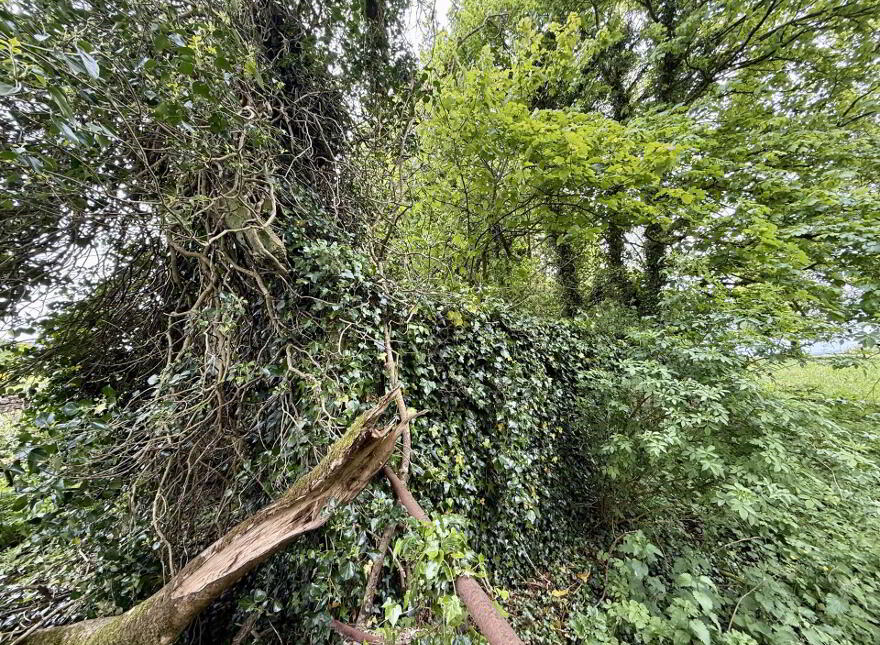 Ballintava, Dunmore