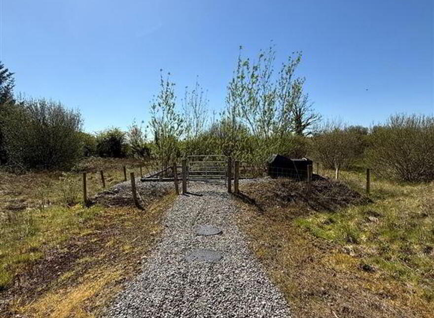 Creevy, Lisacul, F45YP04