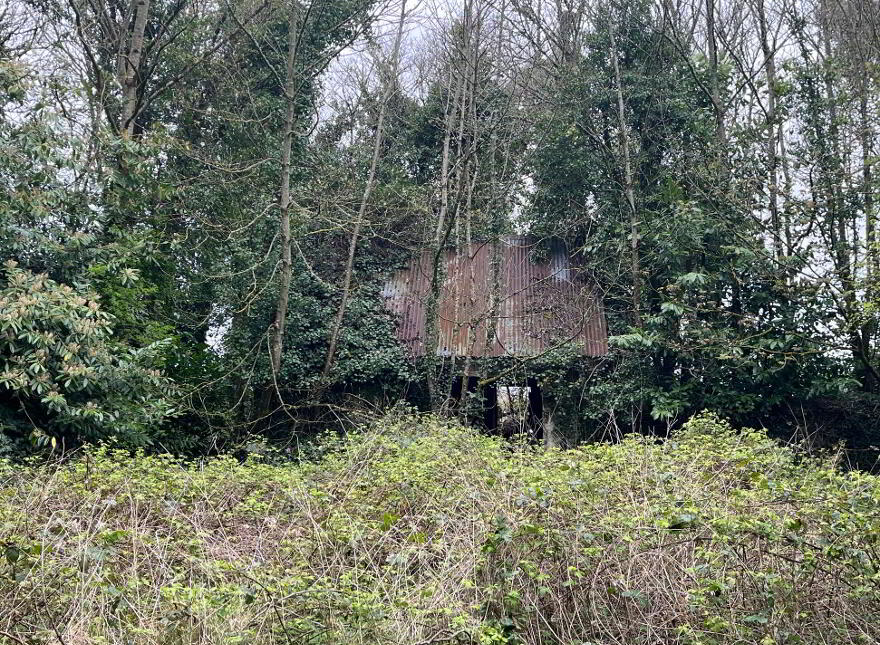 Clonydonnin, Castledaly, Ballinahown