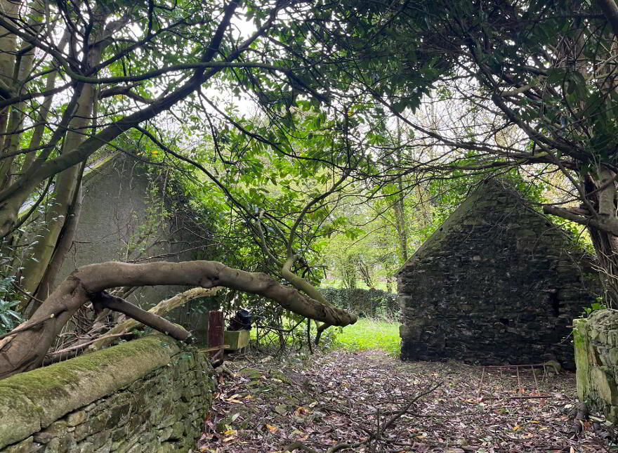 Clonydonnin, Castledaly, Ballinahown
