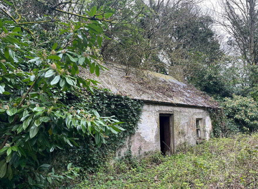 Clonydonnin, Castledaly, Ballinahown
