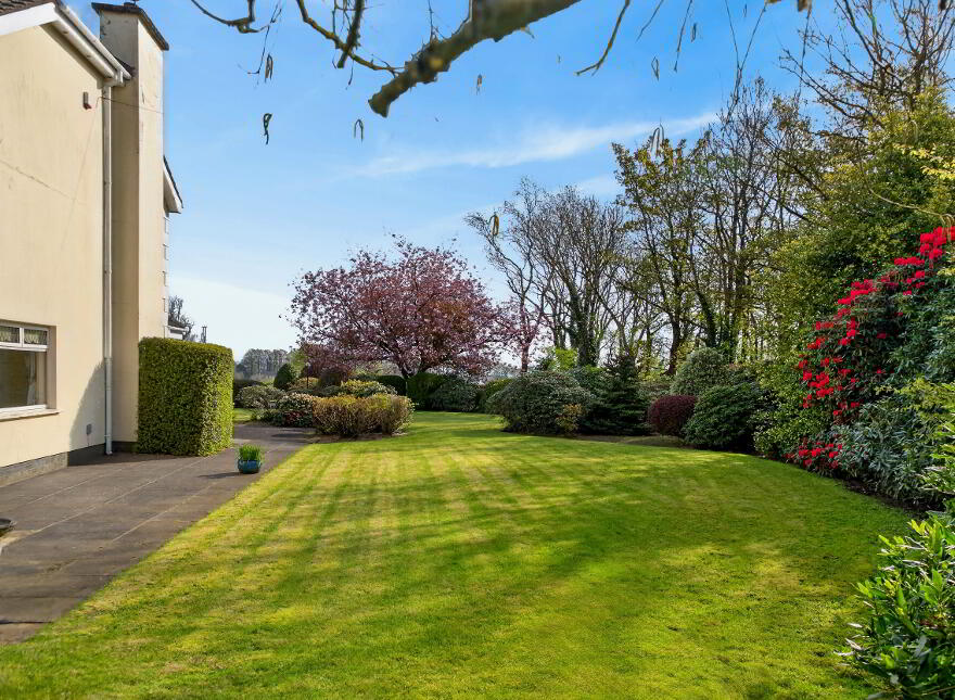 79 Dreen Road, Cullybackey, Ballymena, BT42 1EE