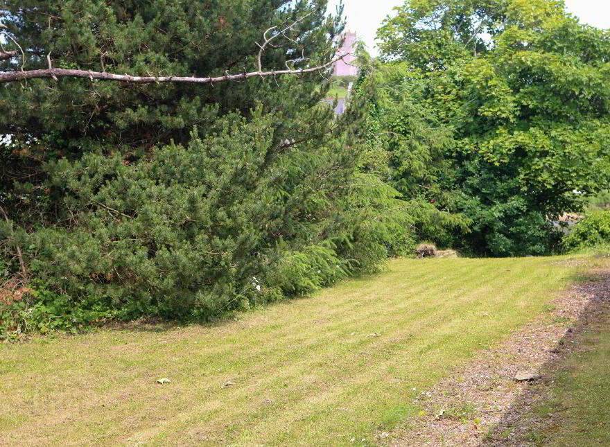 Inis Saimer, Ballyshannon, F94NW18