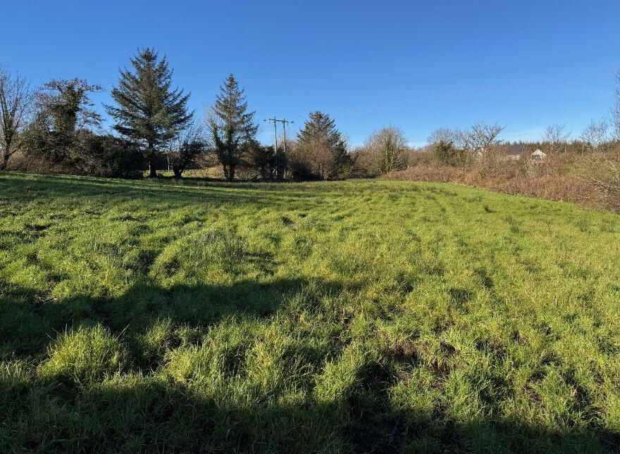 C.3.07 Acres With Derelict House, Tooromin, Bohola