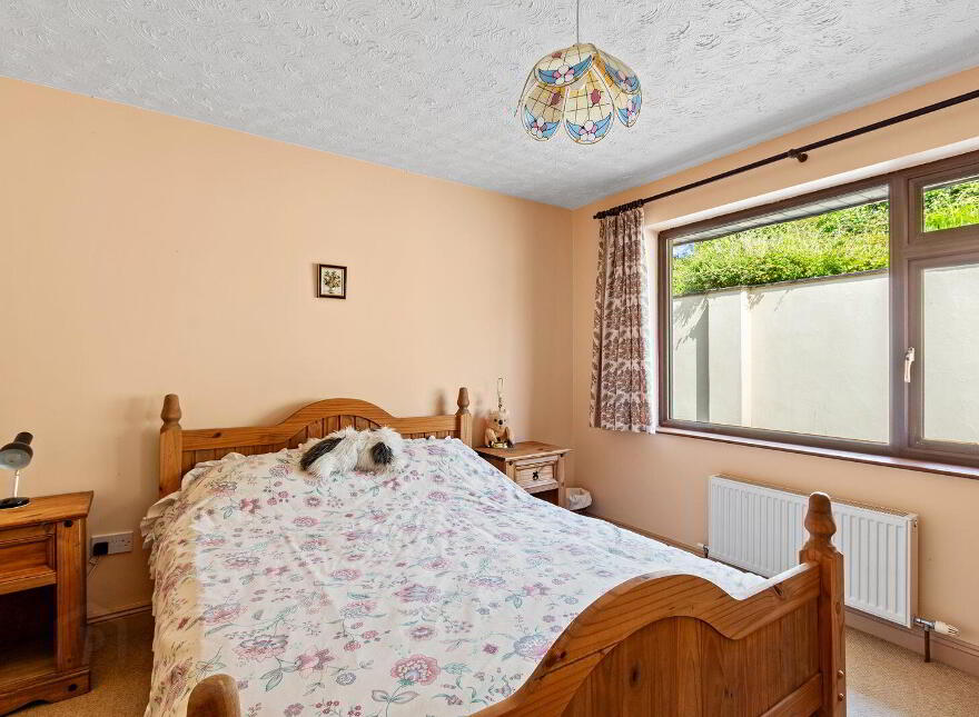 Evergreens, Reen, Union Hall, P81TE27