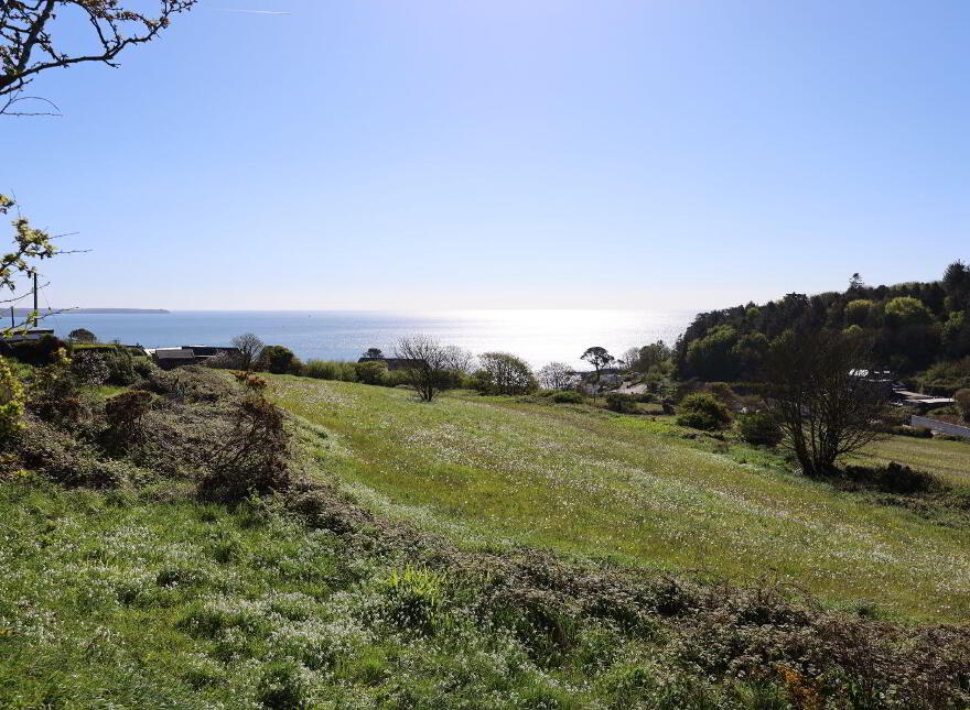Roseville, Cooney's Field, Myrtleville, P43XC59