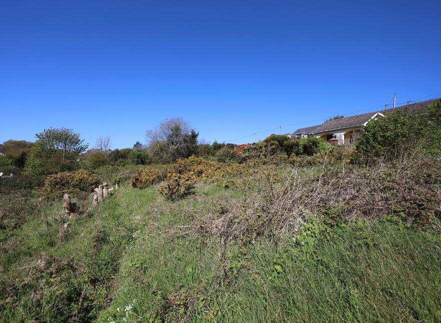 Roseville, Cooney's Field, Myrtleville, P43XC59