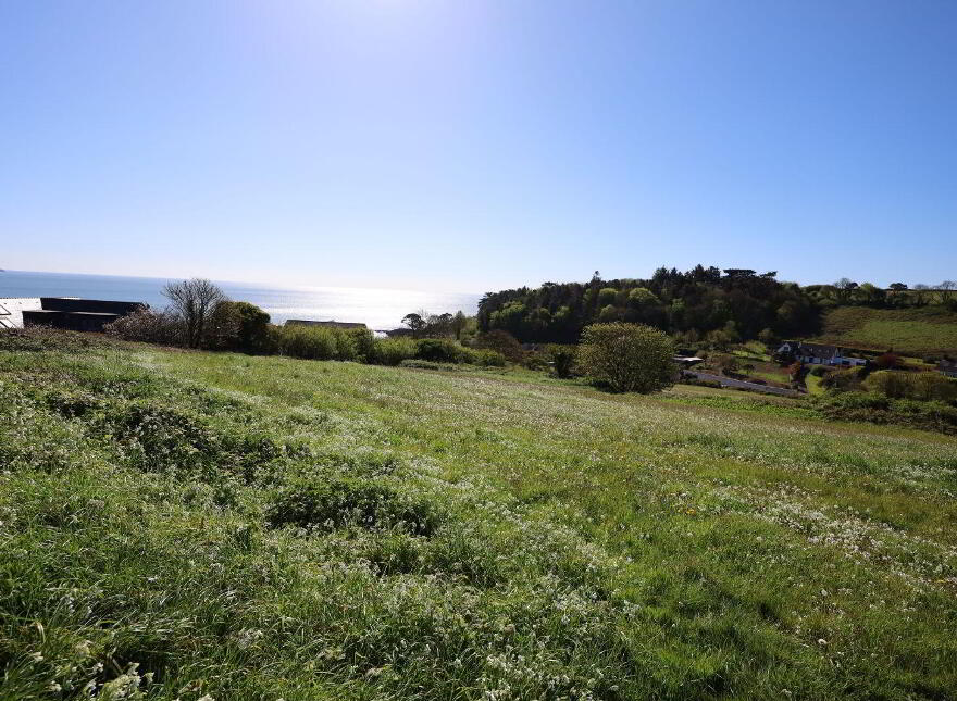 Roseville, Cooney's Field, Myrtleville, P43XC59