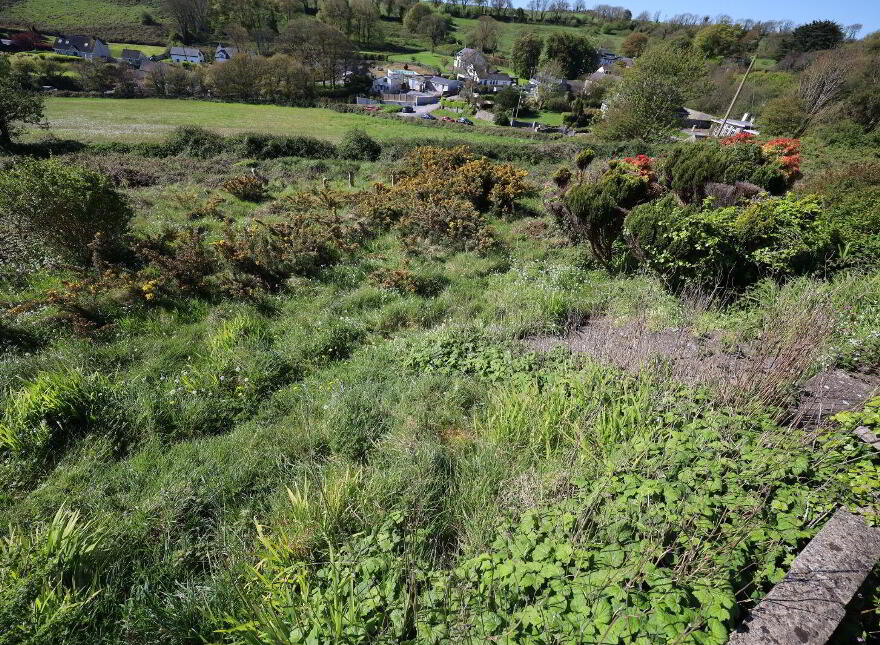 Roseville, Cooney's Field, Myrtleville, P43XC59