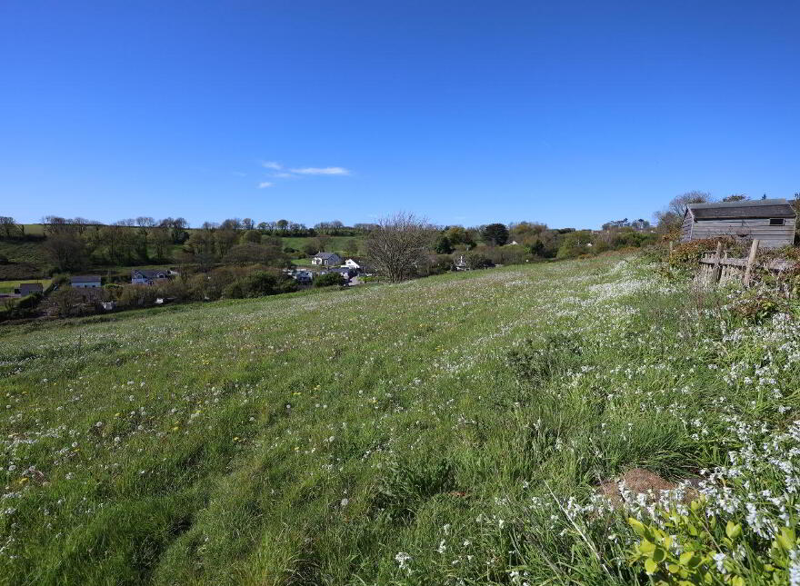 Roseville, Cooney's Field, Myrtleville, P43XC59