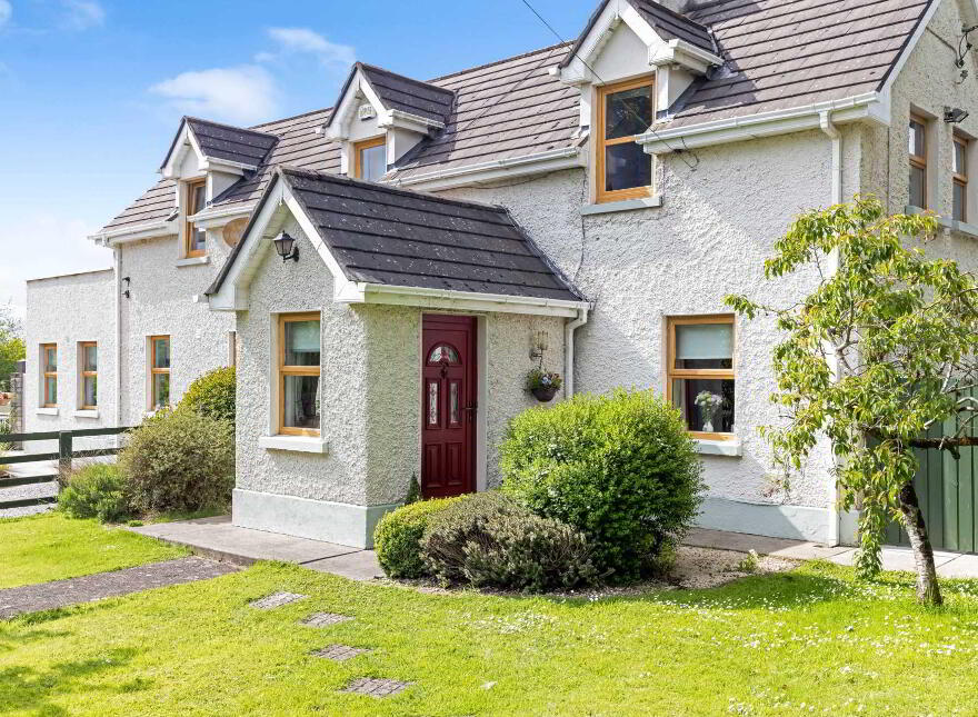 Gillstown Great, Athboy, C15F597