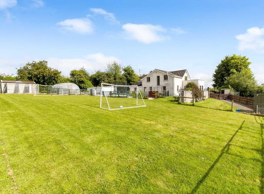 Gillstown Great, Athboy, C15F597
