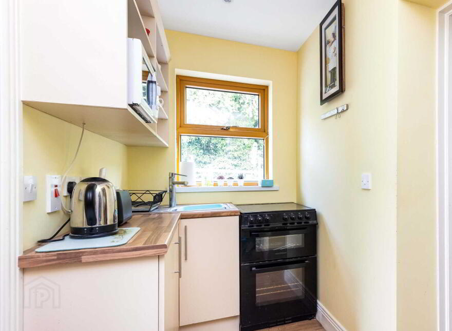 Gillstown Great, Athboy, C15F597