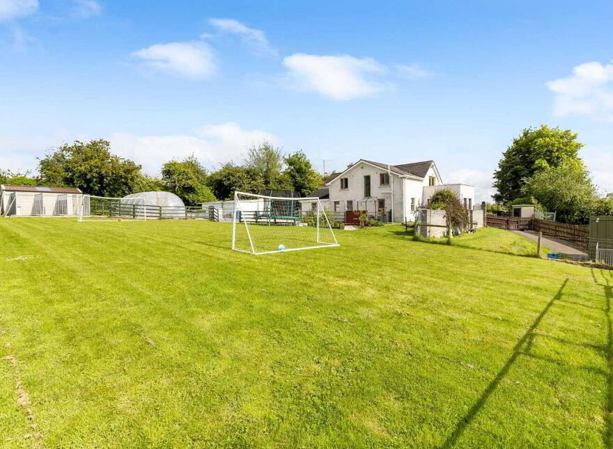 Gillstown Great, Athboy, C15F597