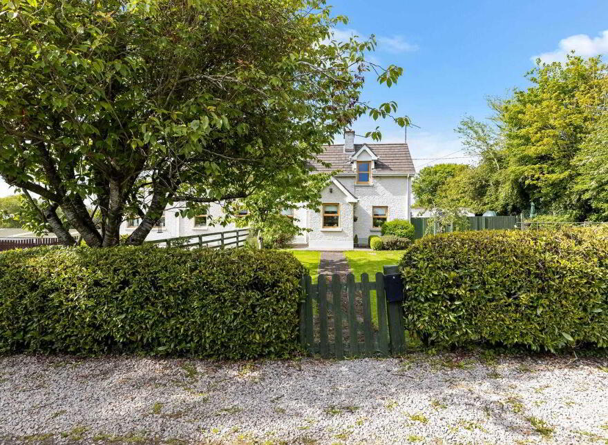 Gillstown Great, Athboy, C15F597
