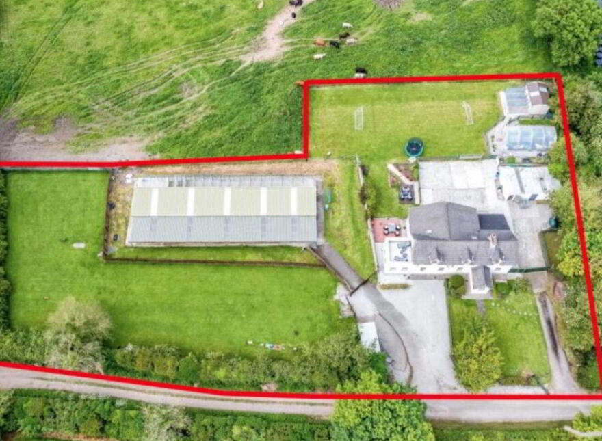 Gillstown Great, Athboy, C15F597