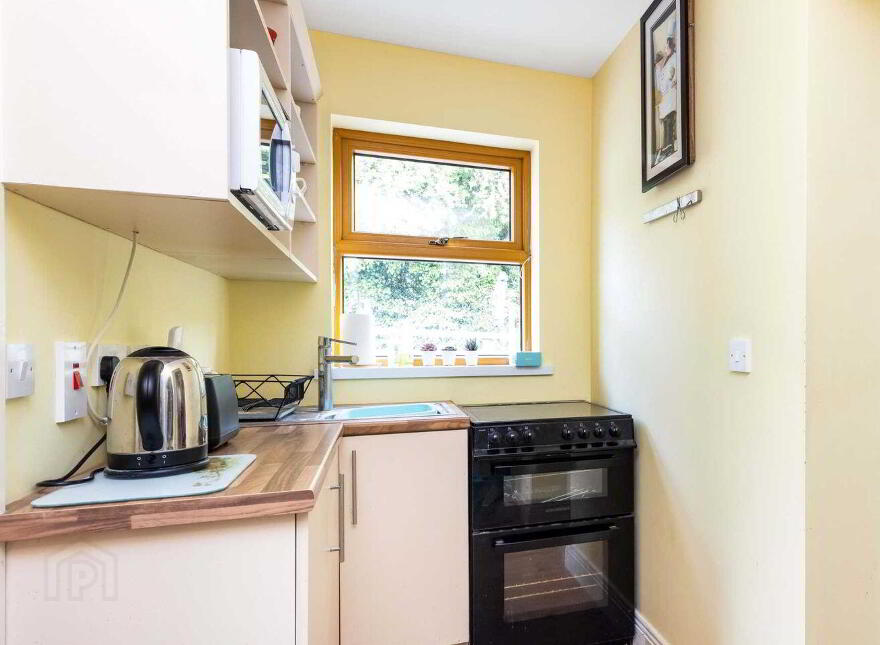 Gillstown Great, Athboy, C15F597