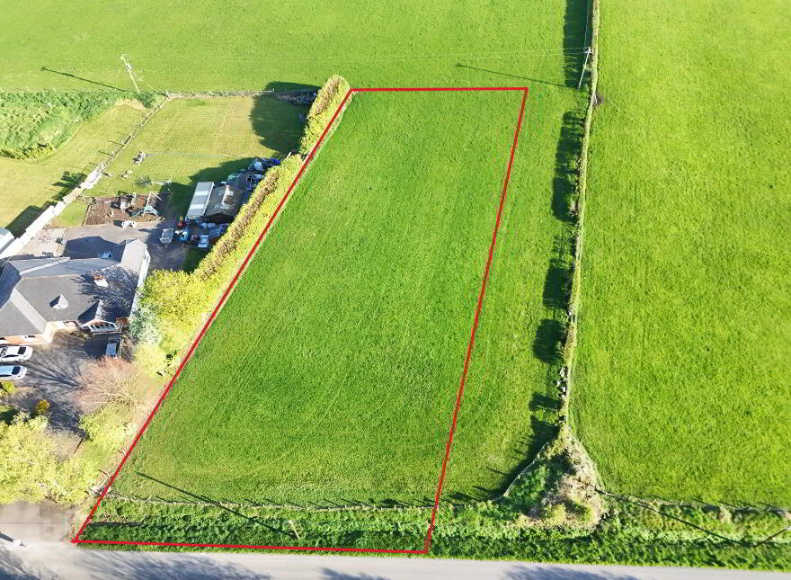 Wood Of O, Derrygrogan