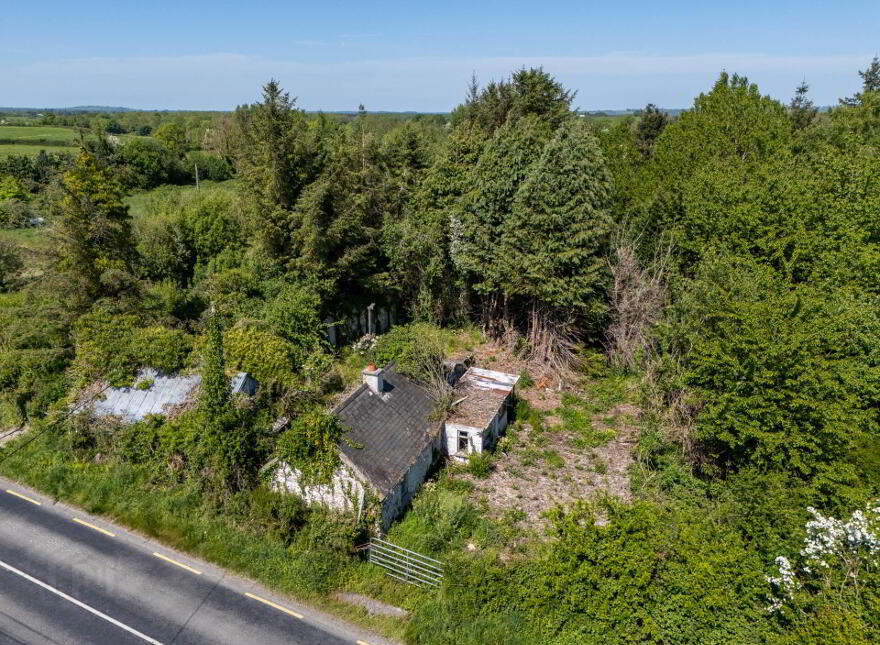 Tinnahinch, Rosenallis, R32T2T8