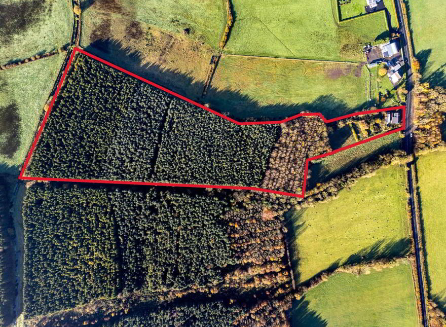 Clonmore, Cappincur, Geashill, R35KH31