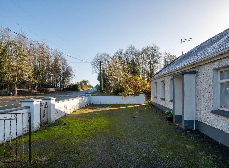 Clonmore, Cappincur, Geashill, R35KH31