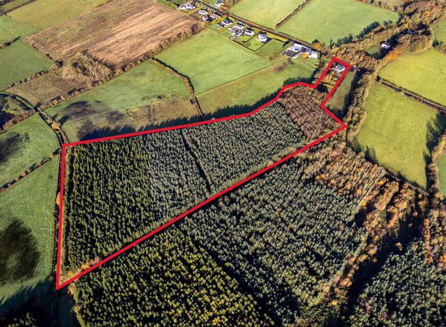 Clonmore, Cappincur, Geashill, R35KH31