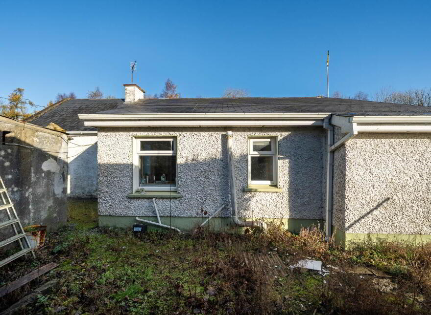 Clonmore, Cappincur, Geashill, R35KH31