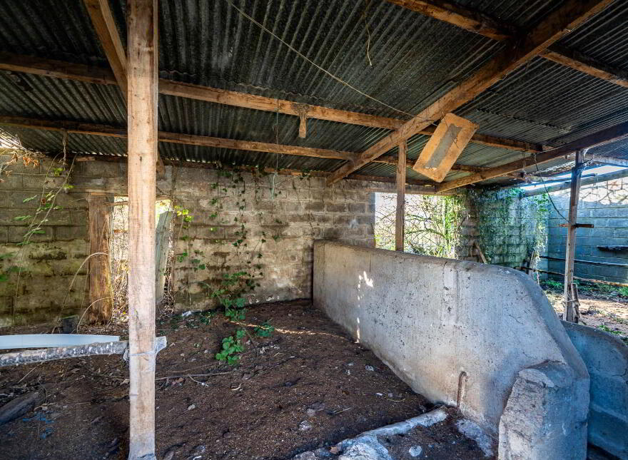 Clonmore, Cappincur, Geashill, R35KH31