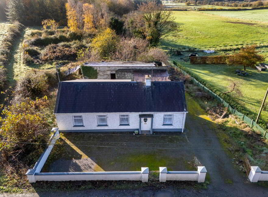 Clonmore, Cappincur, Geashill, R35KH31