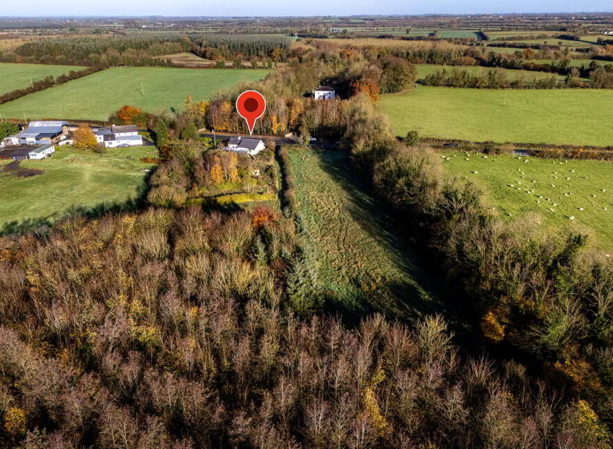 Clonmore, Cappincur, Geashill, R35KH31
