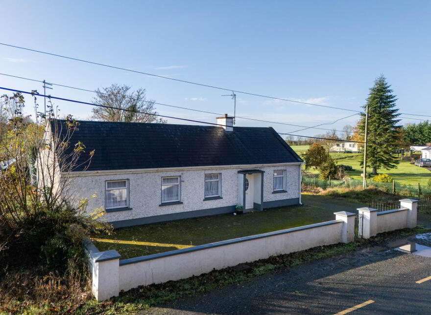 Clonmore, Cappincur, Geashill, R35KH31
