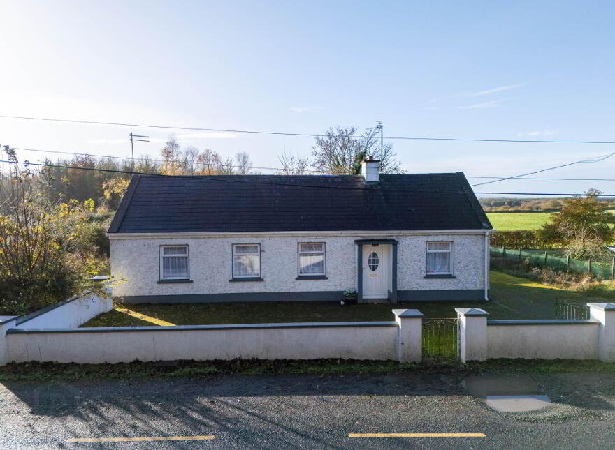 Clonmore, Cappincur, Geashill, R35KH31