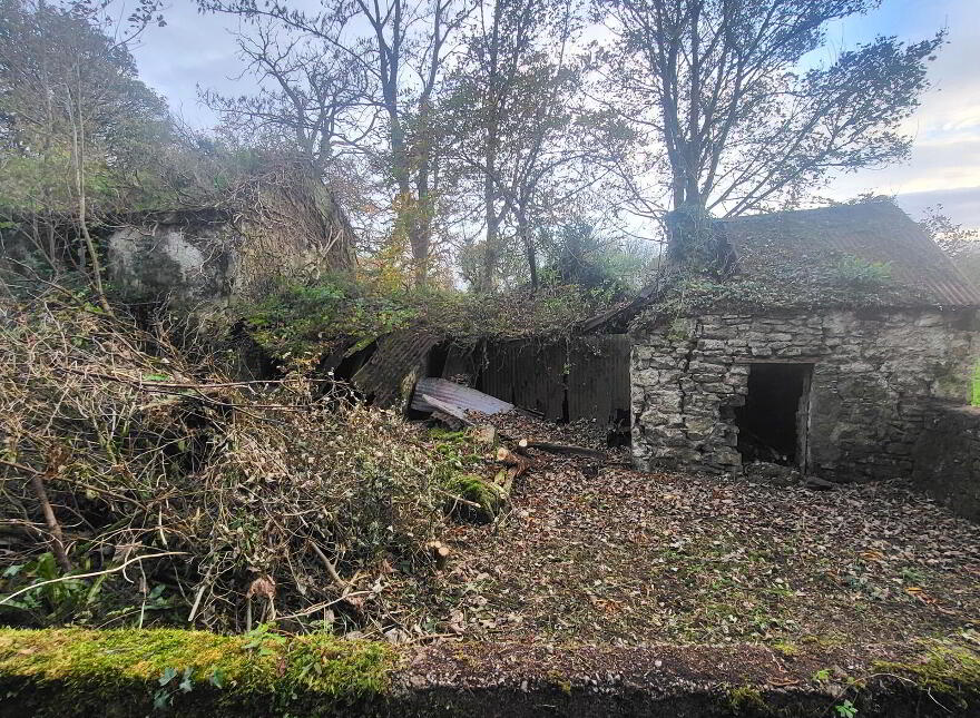 Ballcallen, Fenagh